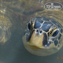 фото из отзыва ID 1325573