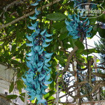 фото из отзыва ID 1325573