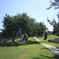 фото из отзыва ID 1326141