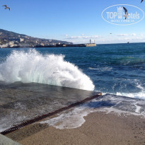 фото из отзыва ID 1326150