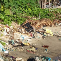 фото из отзыва ID 1326370