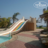 фото из отзыва ID 1326253