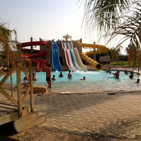 фото из отзыва ID 1326253