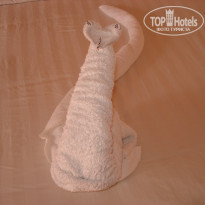 фото из отзыва ID 1326253