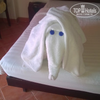 фото из отзыва ID 1326253