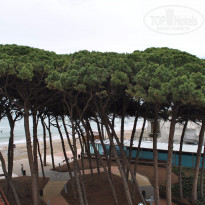 фото из отзыва ID 1326405