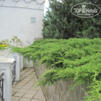 фото из отзыва ID 1326340