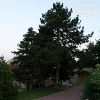 фото из отзыва ID 1326545