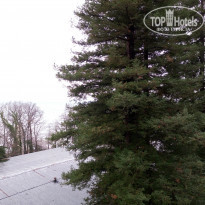 фото из отзыва ID 1326411