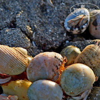 фото из отзыва ID 1326443
