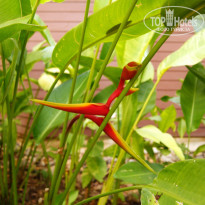 фото из отзыва ID 1326667