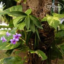 фото из отзыва ID 1326667