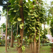 фото из отзыва ID 1326667