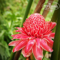 фото из отзыва ID 1326667