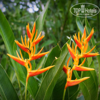 фото из отзыва ID 1326667