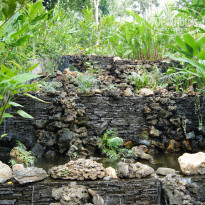 фото из отзыва ID 1326667