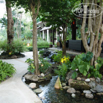 фото из отзыва ID 1326667