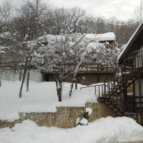 фото из отзыва ID 1326773