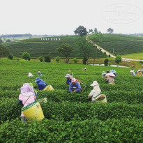 фото из отзыва ID 1326787