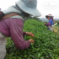 фото из отзыва ID 1326787