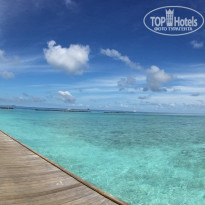 фото из отзыва ID 1326903