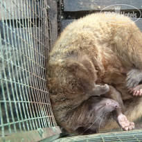 фото из отзыва ID 1326963