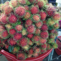 фото из отзыва ID 1327113