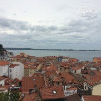 фото из отзыва ID 1327144