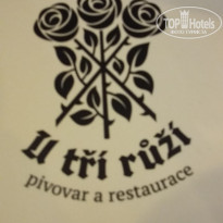 фото из отзыва ID 1327163