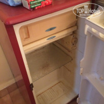 фото из отзыва ID 1327168