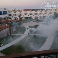 фото из отзыва ID 1327217