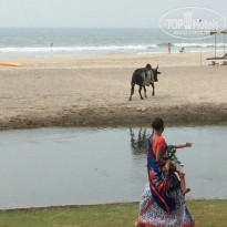 фото из отзыва ID 1327229