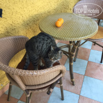 фото из отзыва ID 1326960