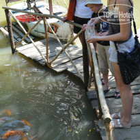 фото из отзыва ID 1327244