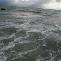 фото из отзыва ID 1326092