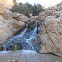 фото из отзыва ID 1327485