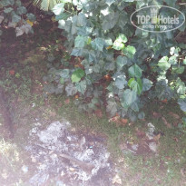 фото из отзыва ID 1327489