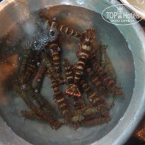 фото из отзыва ID 1327574