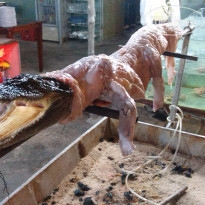 фото из отзыва ID 1327574