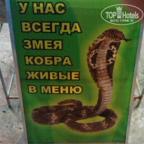 фото из отзыва ID 1327574