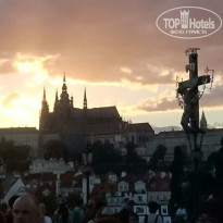 фото из отзыва ID 1327663