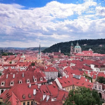 фото из отзыва ID 1327663