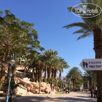 фото из отзыва ID 1327771