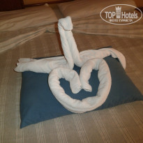 фото из отзыва ID 1327781