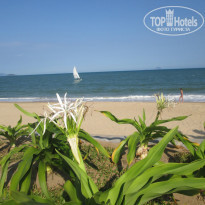 фото из отзыва ID 1327821