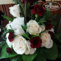 фото из отзыва ID 1327838