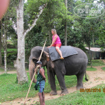 фото из отзыва ID 1328077