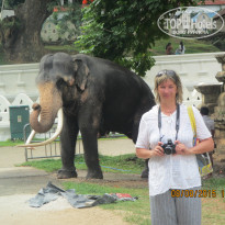 фото из отзыва ID 1328077