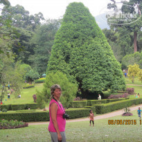 фото из отзыва ID 1328077