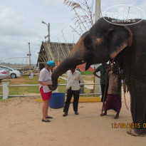 фото из отзыва ID 1328077